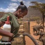 Tusk Charity Update July 2020