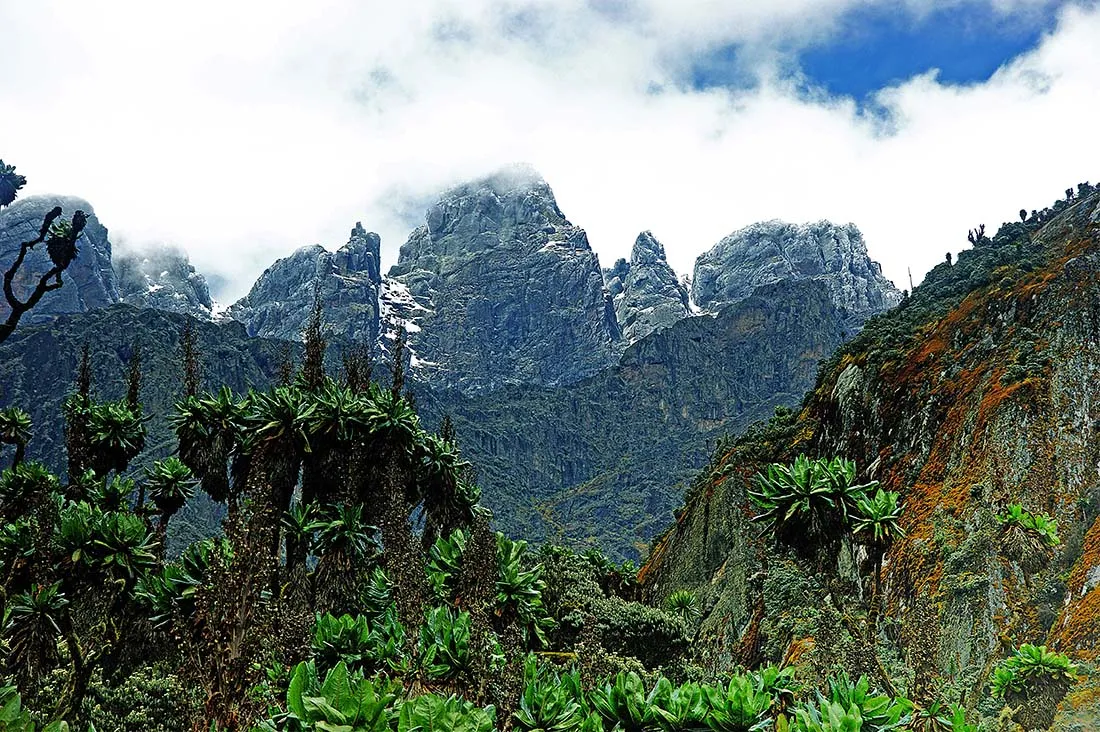 Mount Stanley | Baraka Challenge