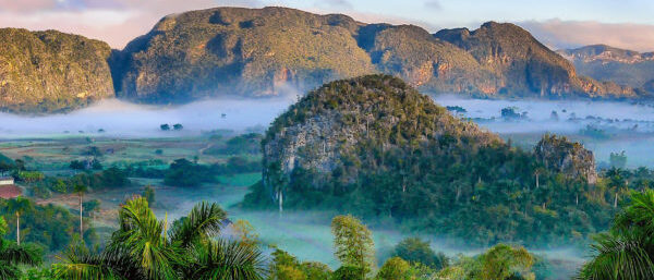 Pelorus Foundation conservation | Baraka Challenge